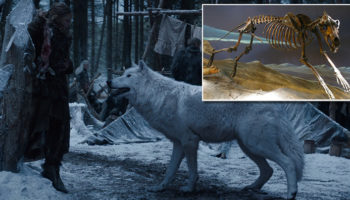 Picture 24 Interesting Facts about ‘Game of Thrones’ You Wouldn’t Want to Miss