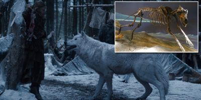 Picture 24 Interesting Facts about ‘Game of Thrones’ You Wouldn’t Want to Miss