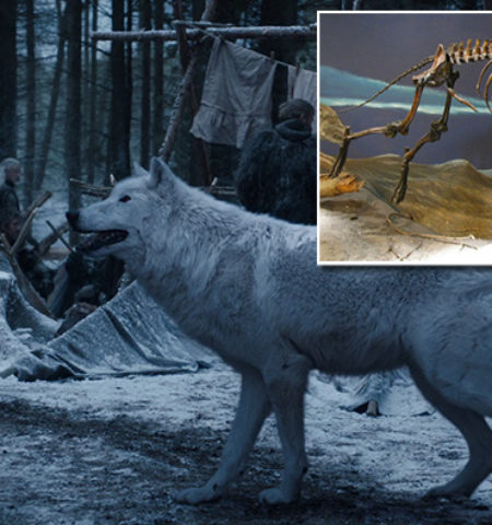 Picture 24 Interesting Facts about ‘Game of Thrones’ You Wouldn’t Want to Miss
