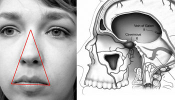 Picture 20 Eye-Opening Medical Facts That You Should Keep in Your Mind