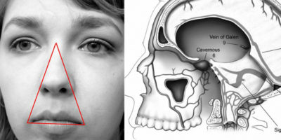 Picture 20 Eye-Opening Medical Facts That You Should Keep in Your Mind