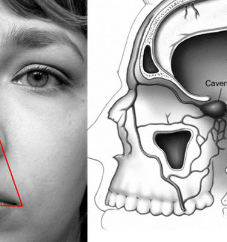 Picture 20 Eye-Opening Medical Facts That You Should Keep in Your Mind