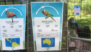 Picture 26 Crazy Incidents and Facts about Pokémon GO that Prove Pokémania is Taking Over the World