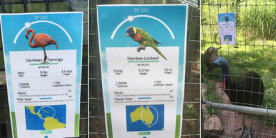 Picture 26 Crazy Incidents and Facts about Pokémon GO that Prove Pokémania is Taking Over the World