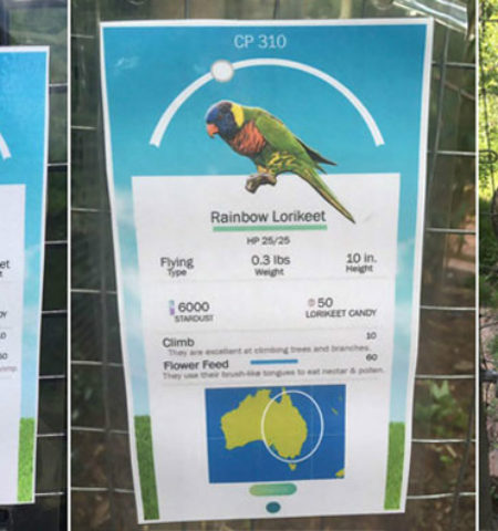 Picture 26 Crazy Incidents and Facts about Pokémon GO that Prove Pokémania is Taking Over the World