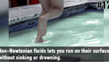 Picture 20 Really cool Science Facts that you probably never learned at school