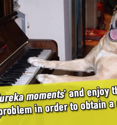 Picture 20 Amazing Facts about Dogs That Will Make You Love Your Dog Even More