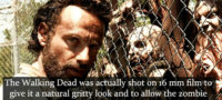 Picture 22 Interesting Facts about ‘The Walking Dead’ that Every Fan Must Know