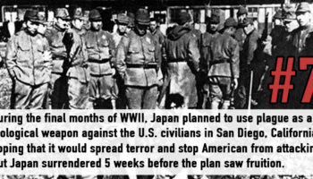 Picture 23 Less Known Facts About WWII That You Probably Never Heard Of
