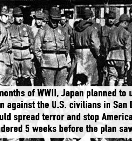 Picture 23 Less Known Facts About WWII That You Probably Never Heard Of