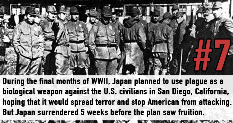 Facts About WWII