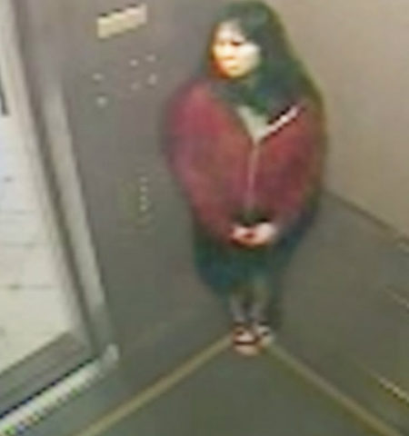 Picture Elisa Lam’s Death: the Mysterious and Most Creepy Case in History of Crime