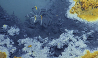 Picture Researchers have found a lake under the sea that kills anything that tries to swim in it