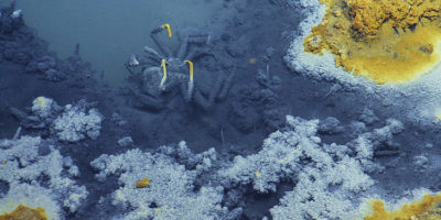 Picture Researchers have found a lake under the sea that kills anything that tries to swim in it