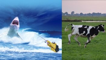 Picture 18 True Facts That Sound Completely Fake