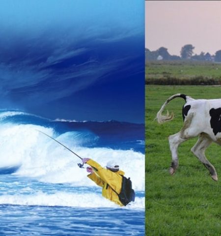 Picture 18 True Facts That Sound Completely Fake