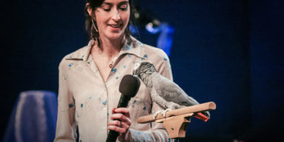 Picture Einstein: the African Grey Parrot from Knoxville Zoo That Gave a TED Talk