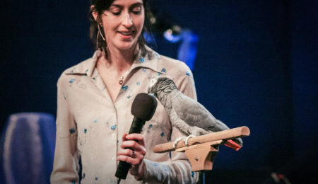 Picture Einstein: the African Grey Parrot from Knoxville Zoo That Gave a TED Talk