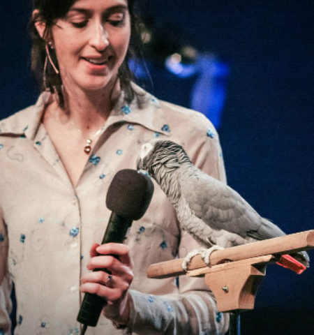 Picture Einstein: the African Grey Parrot from Knoxville Zoo That Gave a TED Talk