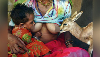 Picture The Hindu Sect “Bishnoi” That Considers Protecting Trees and Wild Life as a Part of Their Religious Responsibility