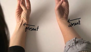 Picture 18 Unbelievable Facts That Sound Completely Fake – Part 2