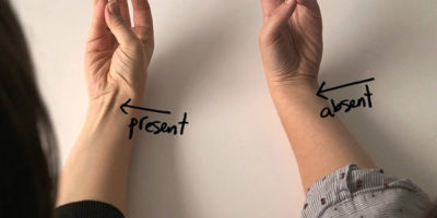 Picture 18 Unbelievable Facts That Sound Completely Fake – Part 2