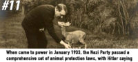 Picture 20 Less-known Facts About Nazi Germany