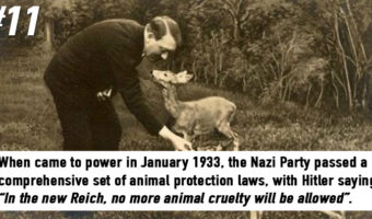 Picture 20 Less-known Facts About Nazi Germany