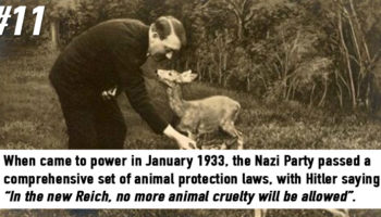 Picture 20 Less-known Facts About Nazi Germany