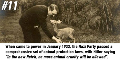Picture 20 Less-known Facts About Nazi Germany