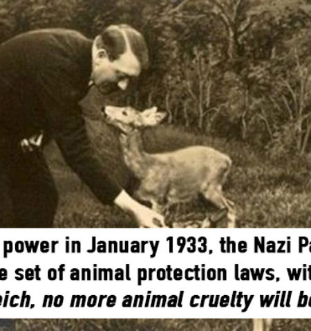 Picture 20 Less-known Facts About Nazi Germany