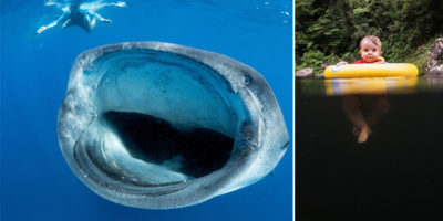 Picture 20 Pictures You Will Find Unsettling If You Have “Thalassophobia”