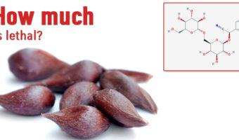 Picture Did you know that apple seeds contain cyanide? but how much is lethal?