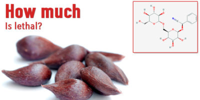 Picture Did you know that apple seeds contain cyanide? but how much is lethal?