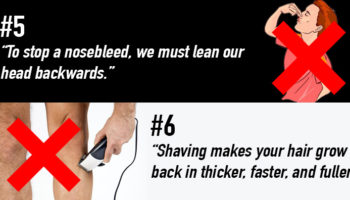 Picture 20 Commonly Believed “Facts” That Are Actually Myths – Part 2