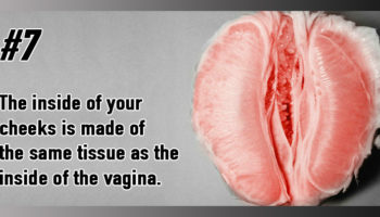 Picture 10 Random Fun Facts To Kill Your Boredom