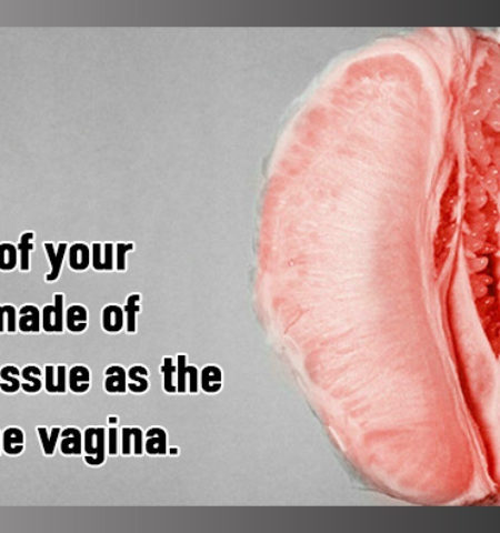 Picture 10 Random Fun Facts To Kill Your Boredom