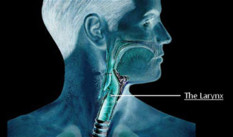 Picture 10 Random Fun Facts to Kill your boredom. Part 2