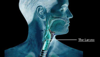 Picture 10 Random Fun Facts to Kill your boredom. Part 2