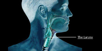 Picture 10 Random Fun Facts to Kill your boredom. Part 2