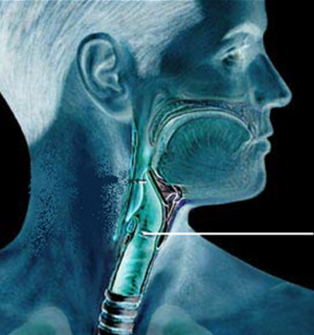 Picture 10 Random Fun Facts to Kill your boredom. Part 2