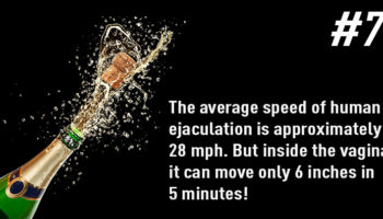 Picture 10 Random Fun Facts To Kill Your Boredom. Part 3