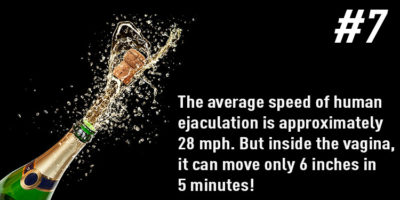 Picture 10 Random Fun Facts To Kill Your Boredom. Part 3