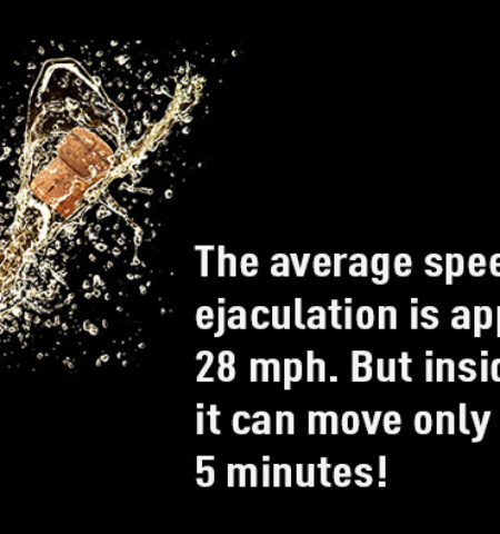 Picture 10 Random Fun Facts To Kill Your Boredom. Part 3