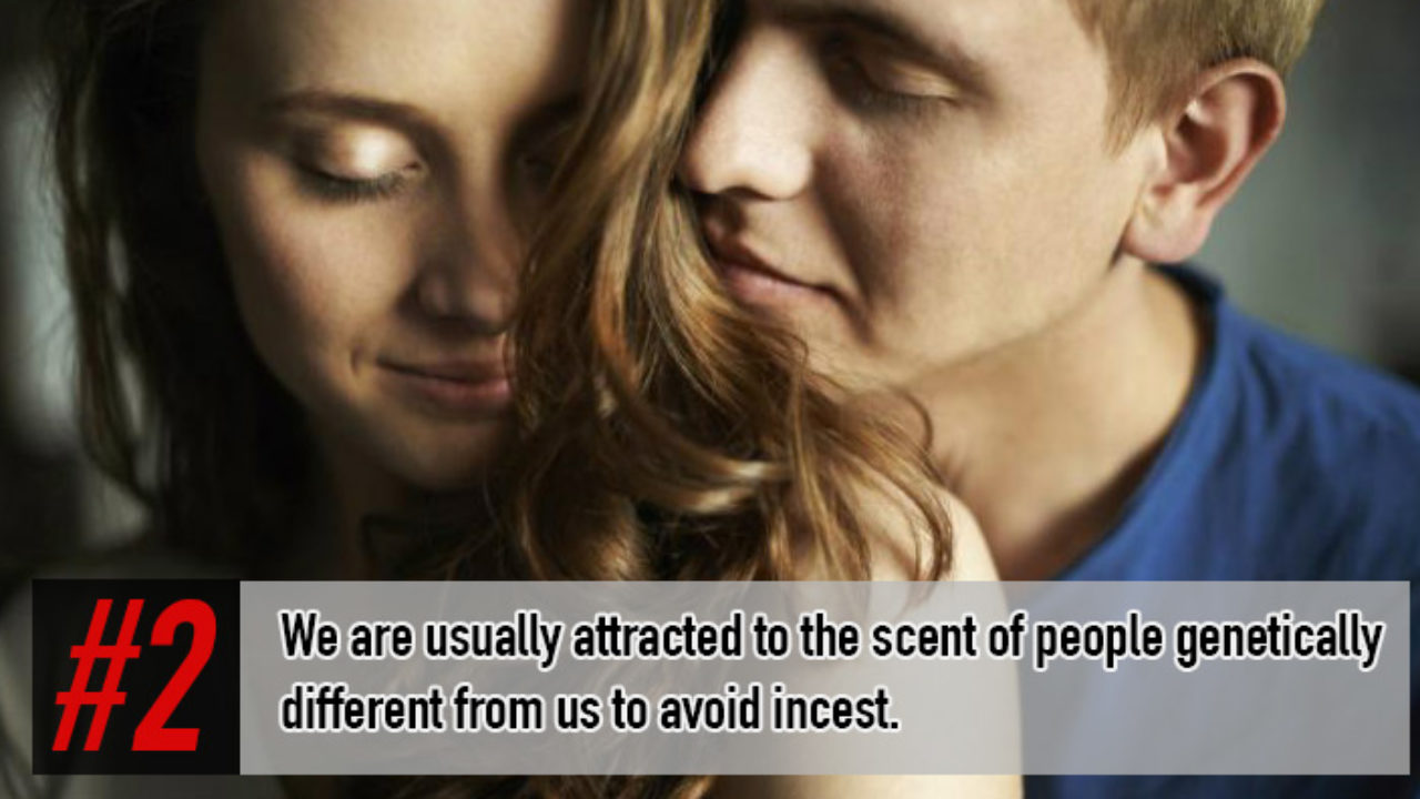 10 Less Known Facts About Incest You Didn T Know