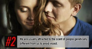 Facts about Incest
