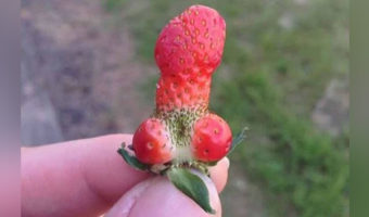 Picture 10 A**hole Facts That Will Ruin The Fun For Everyone