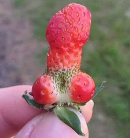 Picture 10 A**hole Facts That Will Ruin The Fun For Everyone