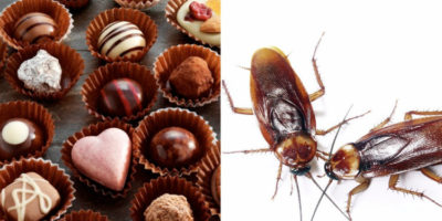 Picture 10 Really Strange And Horrifying Facts You Never Knew