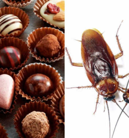 Picture 10 Really Strange And Horrifying Facts You Never Knew